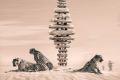 PRESERVATION-OF-EQUILIBRIUM