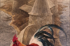 The-Royal-Bird.