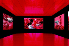 Project-exposure-Gamow-CAPE-BioStation