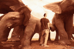 Elephant-Talk