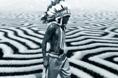 Black-Fields-and-White-Tracks