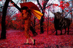 Red-Forest