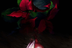 Still-Life-Number-7