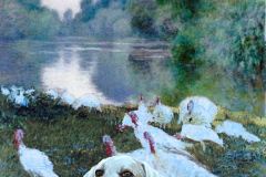 Poultry-Yard